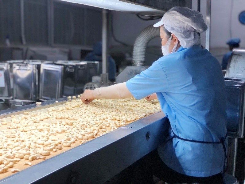 NIC GROUP - Hành trình kiến tạo giá trị Việt trong  dòng chảy toàn cầu