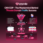 CNV CDP – Nền tảng tăng trưởng bền vững cho doanh nghiệp