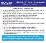 BẢN TIN XÚC TIẾN THƯƠNG MẠI HANOIBA 15-22/06/2025