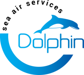 Dolphin